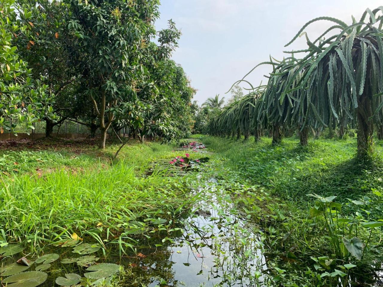 Mekong Backpacker Inn Cần Thơ Kültér fotó